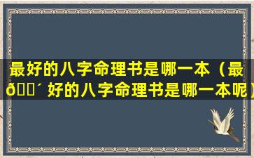 最好的八字命理书是哪一本（最 🌴 好的八字命理书是哪一本呢）